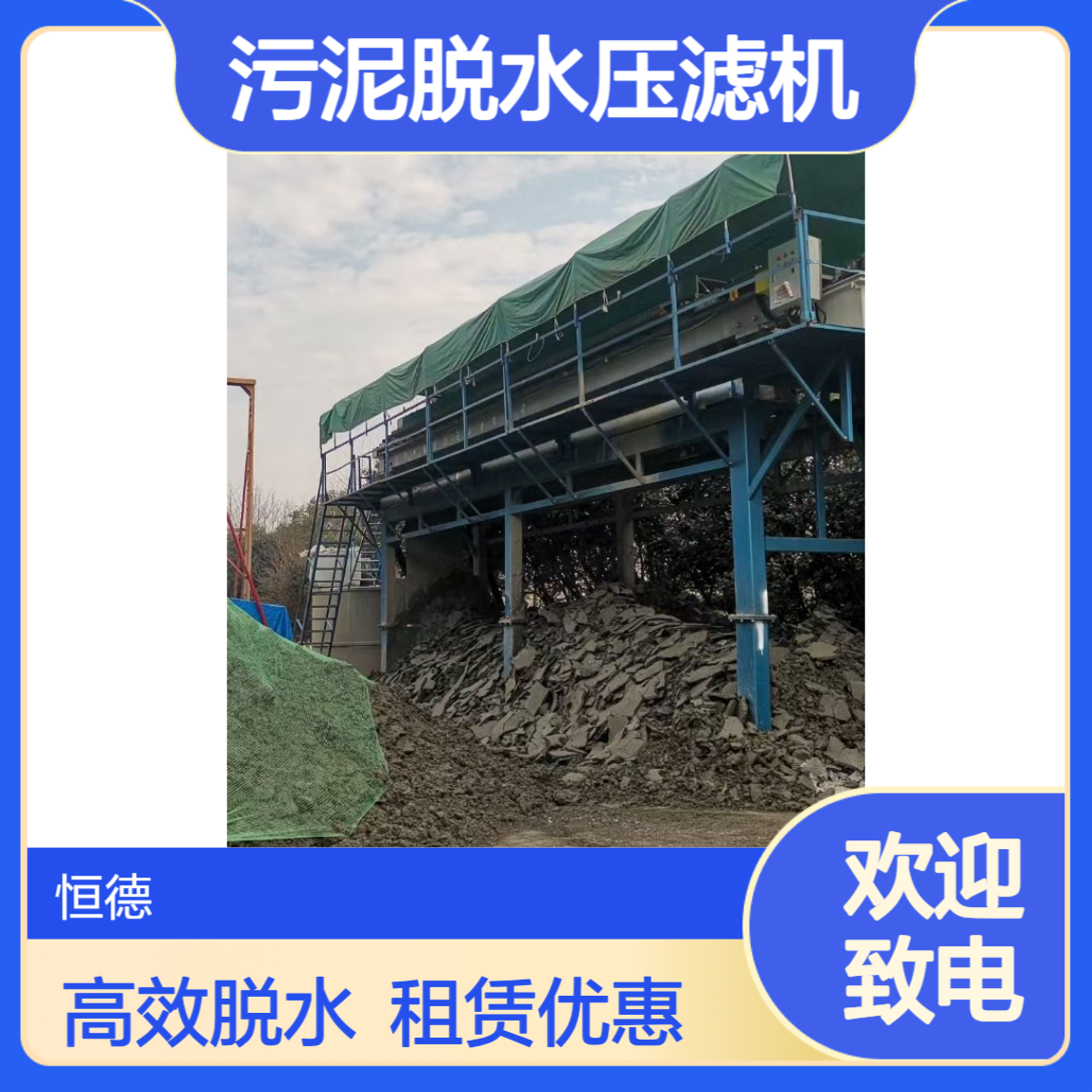 恒德环保 污泥脱水压滤机出租 移动式压泥机租赁 承包各种污泥固化施工