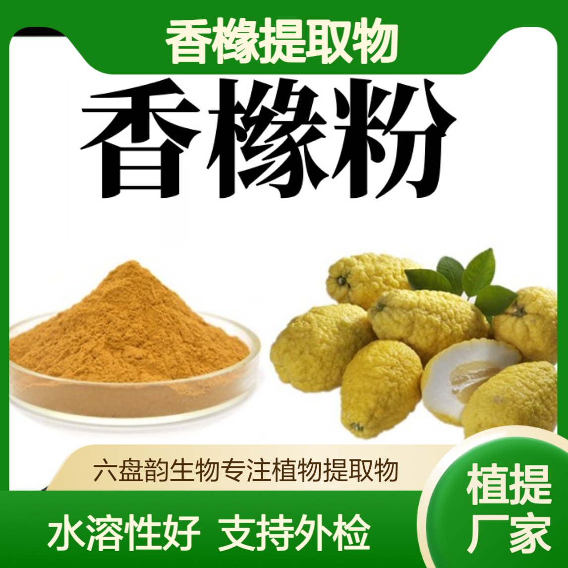 香橼提取物 水溶性精细粉末 喷雾干燥工艺香橼粉 六盘韵生物