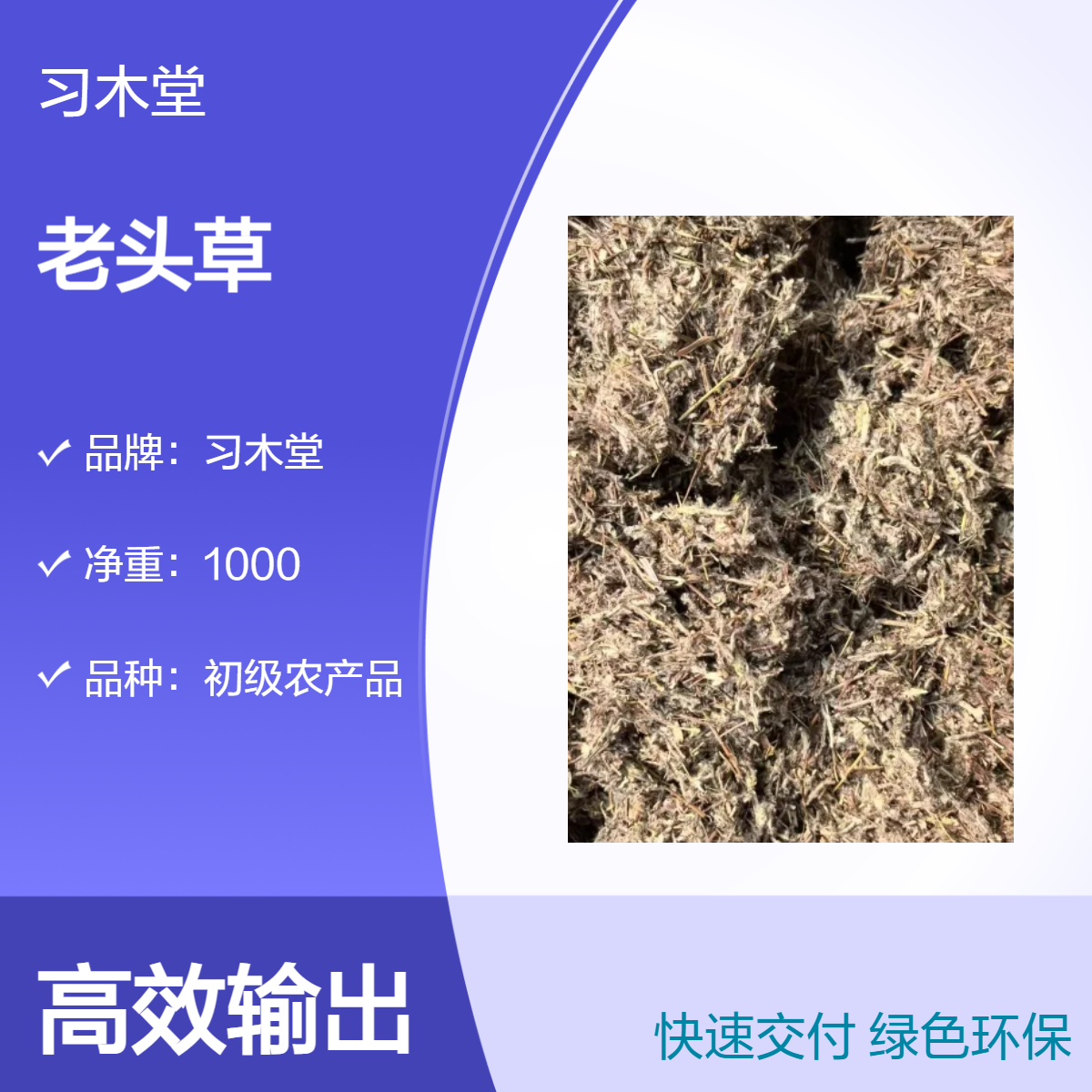 习木堂 供应 老头草 火绒草 薄雪草 新货 自然晒干 品质正宗