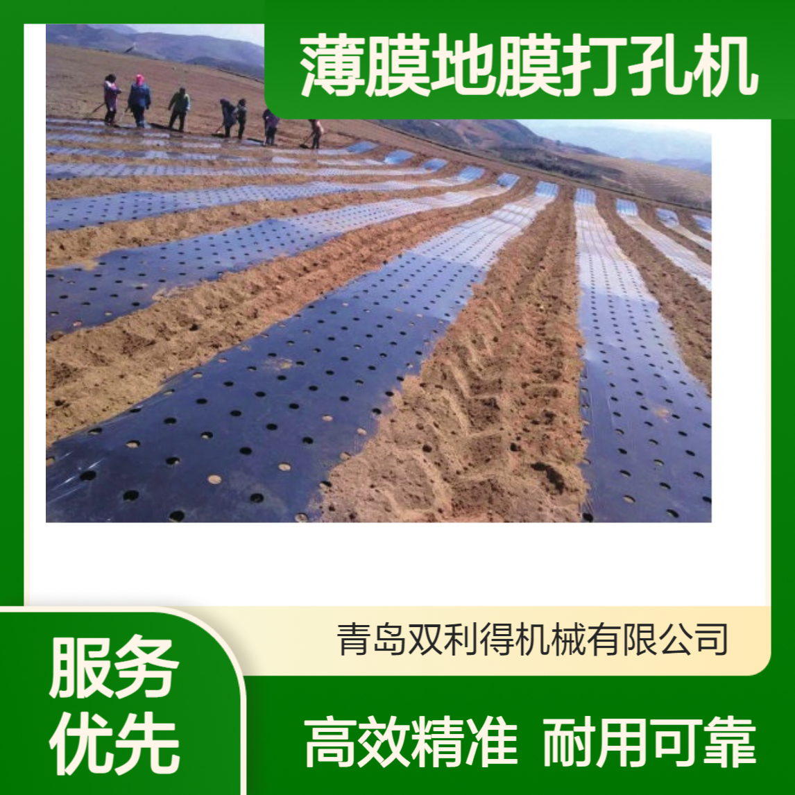 塑料薄膜地膜打孔机生产线根据客户定制生产农膜打孔设备