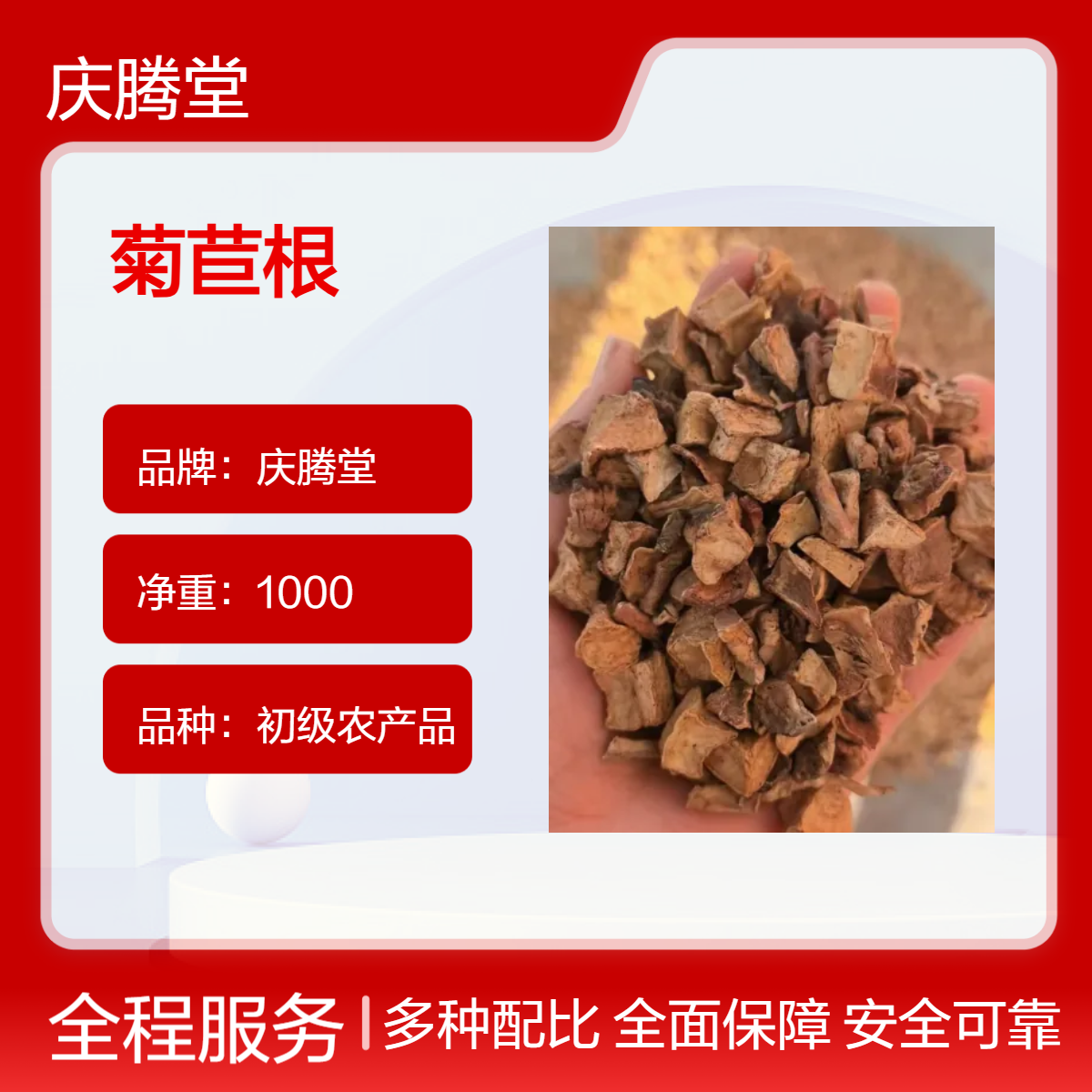 批发 中药材 菊苣根 当年新货 无硫 烘干品质 规格齐全