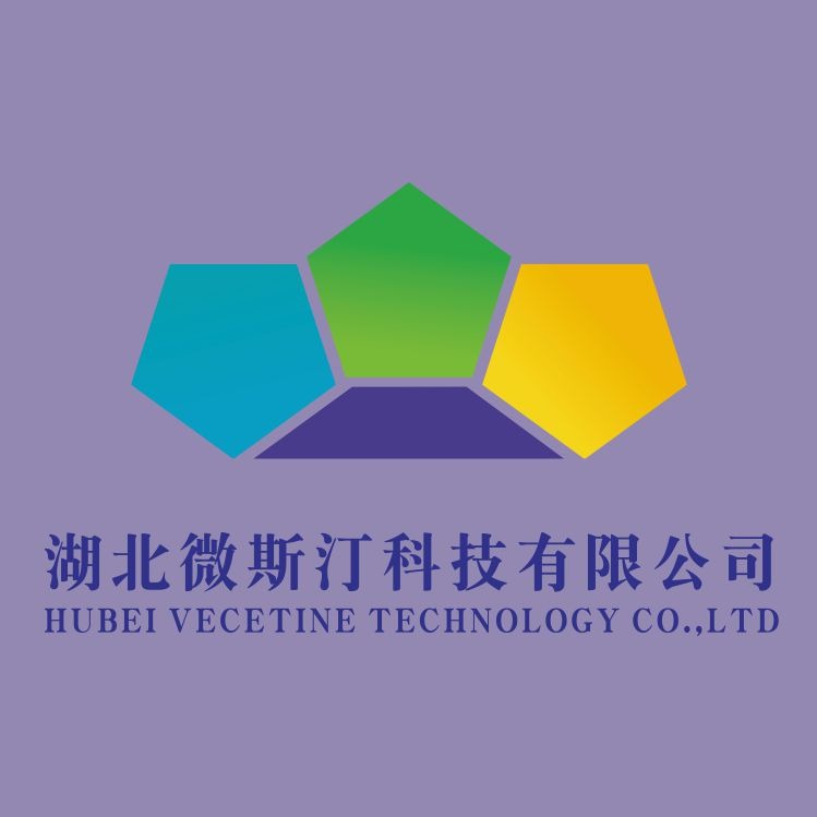 湖北微斯汀科技有限公司 - 公司logo