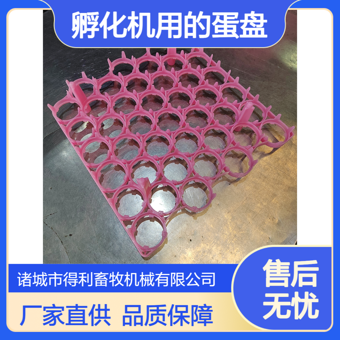 42枚种蛋托 孵化蛋盘 配套41所孵化机用的蛋盘 厂家供应
