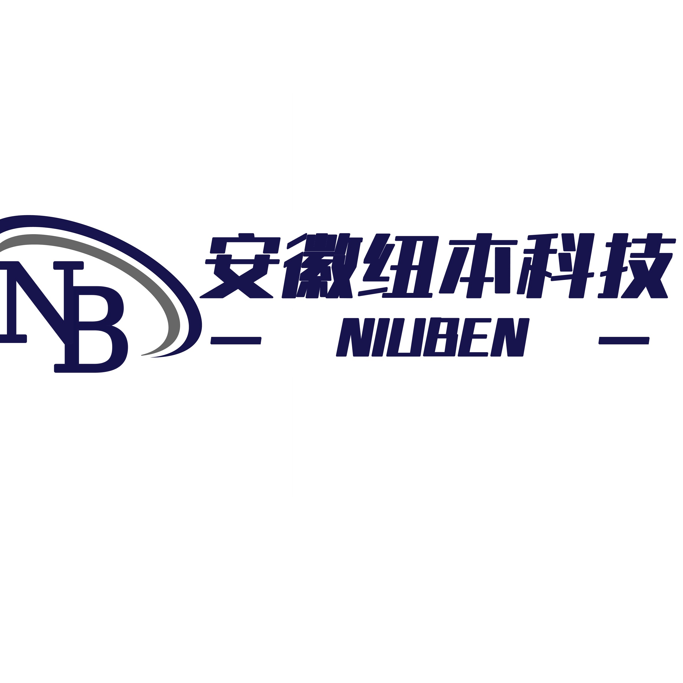 安徽纽本科技有限公司 - 公司logo