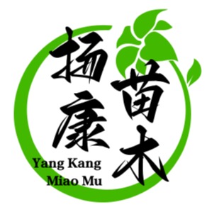 湖南扬康苗木有限公司