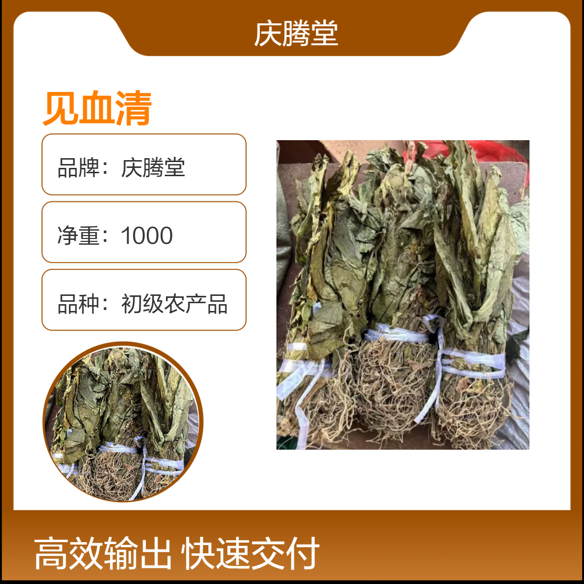 庆腾堂 批发 见血清 独角金 金果榄 新货 无硫 规格齐全