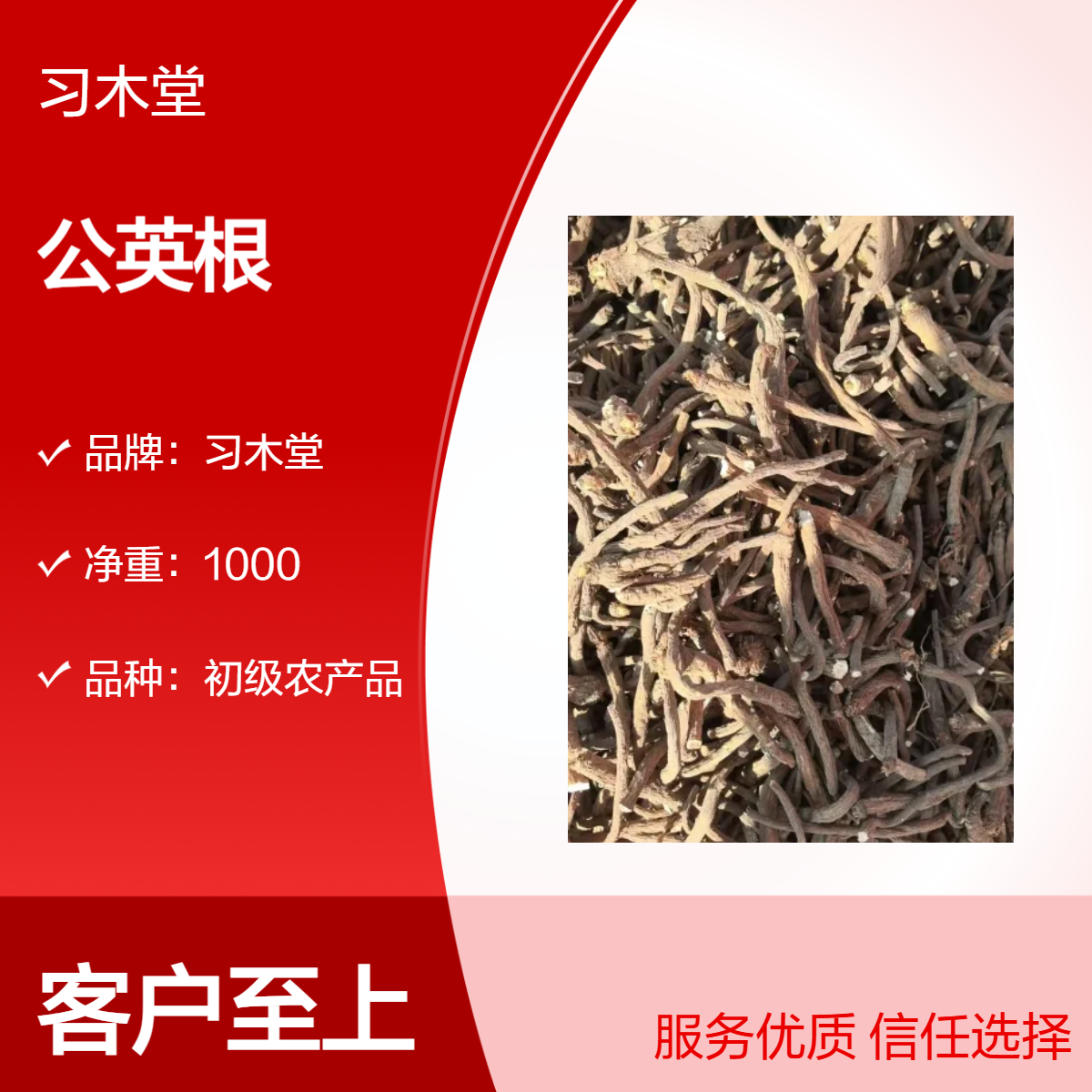 批发 公英根 公英茶 蒲公英 无硫 新货 各种规格 保质保量