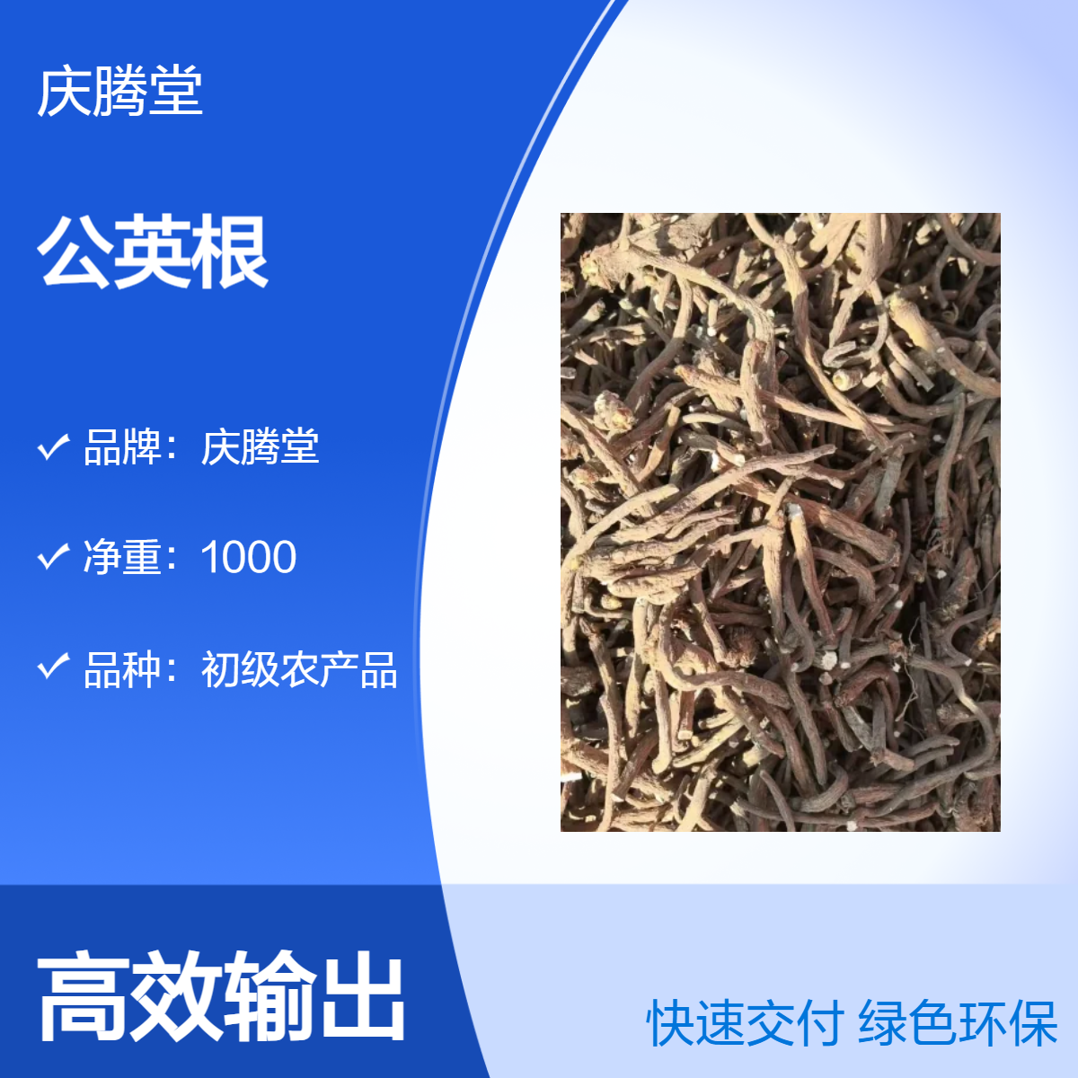 精选 公英根 公英茶 蒲公英 新货 无硫 品质好 仓库直发