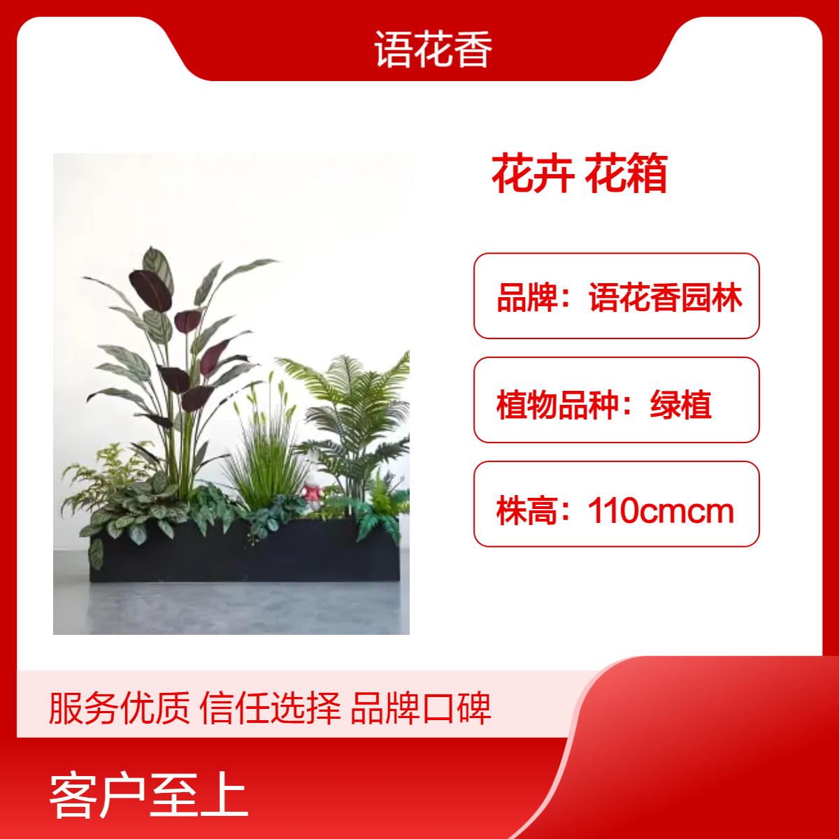 语花香园林 绿色系现代简约花卉花箱 土培摆件 深 圳办公室绿植租摆