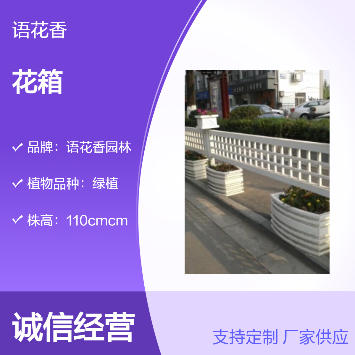深 圳宝 安发货 喜阳绿植花卉景观 商铺外摆区域花箱植物造景