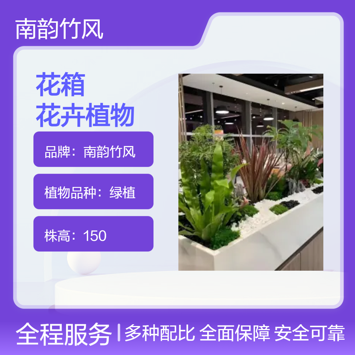 南韵竹风新中式150cm高土培绿植 花叶共赏 室内花箱花卉植物租摆