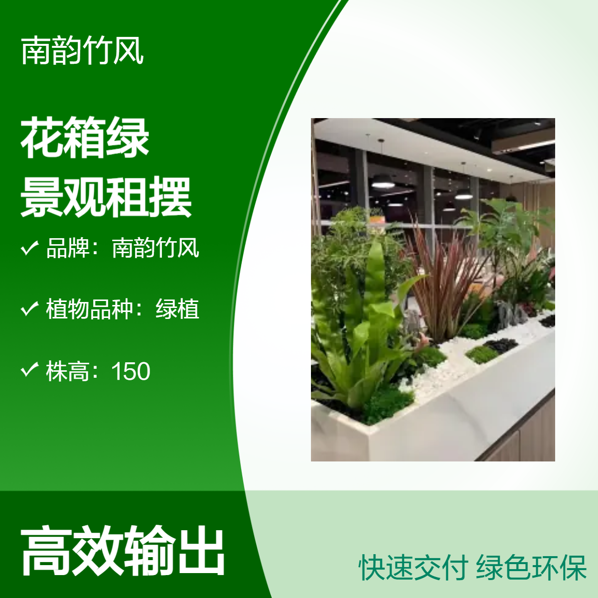深 圳80cm长花箱绿植景观整套出租 花卉租摆植物盆栽造景 南韵竹风