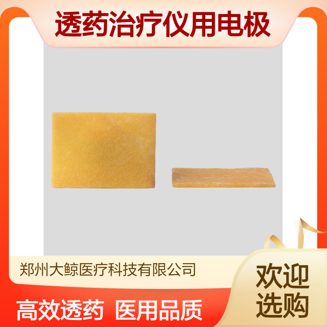 中医定向透药治疗仪用电极 二类械字号 配合仪器使用 大鲸DJ-I型