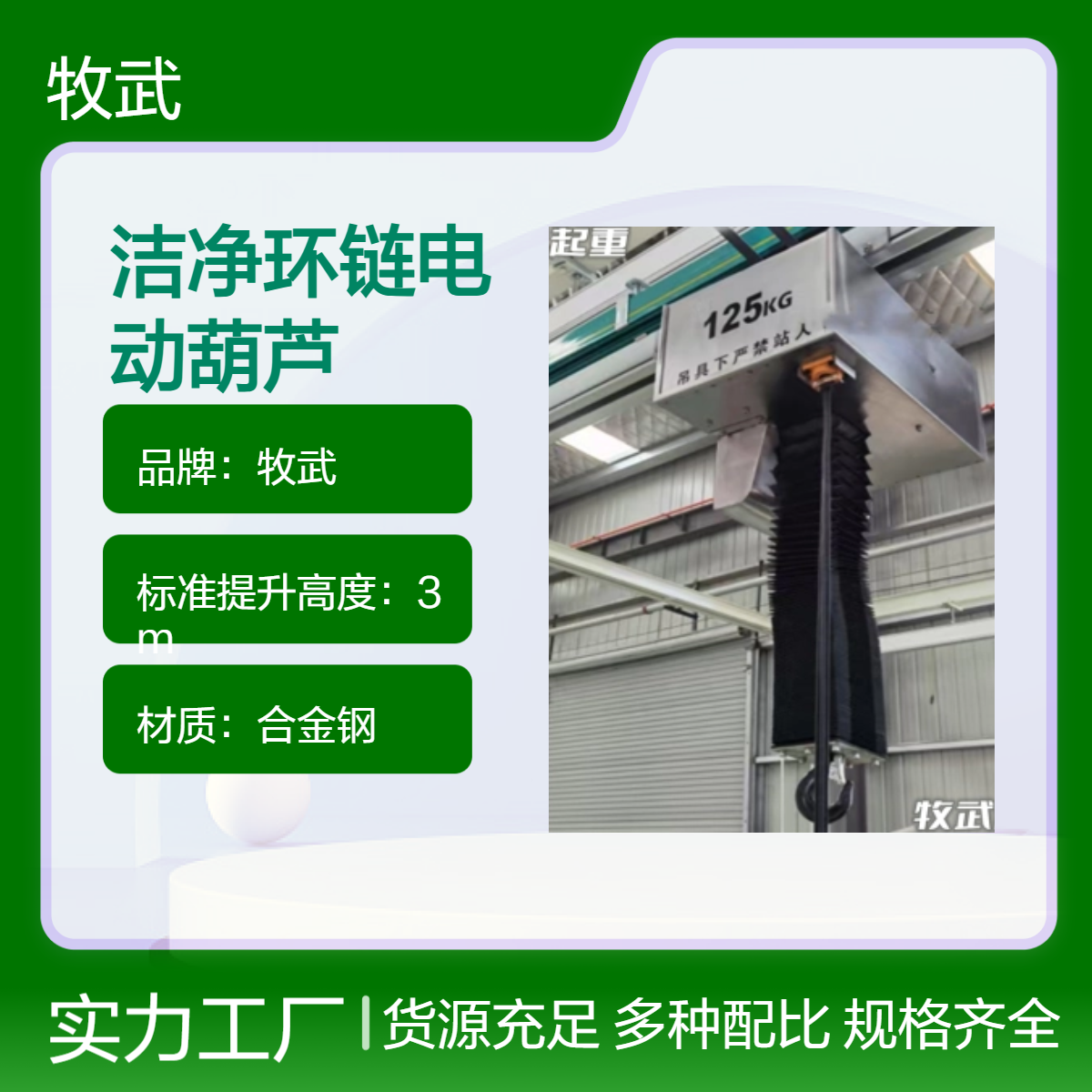 牧武125公斤洁净环链电动葫芦 6m起升 0.75kW电机合金钢材质