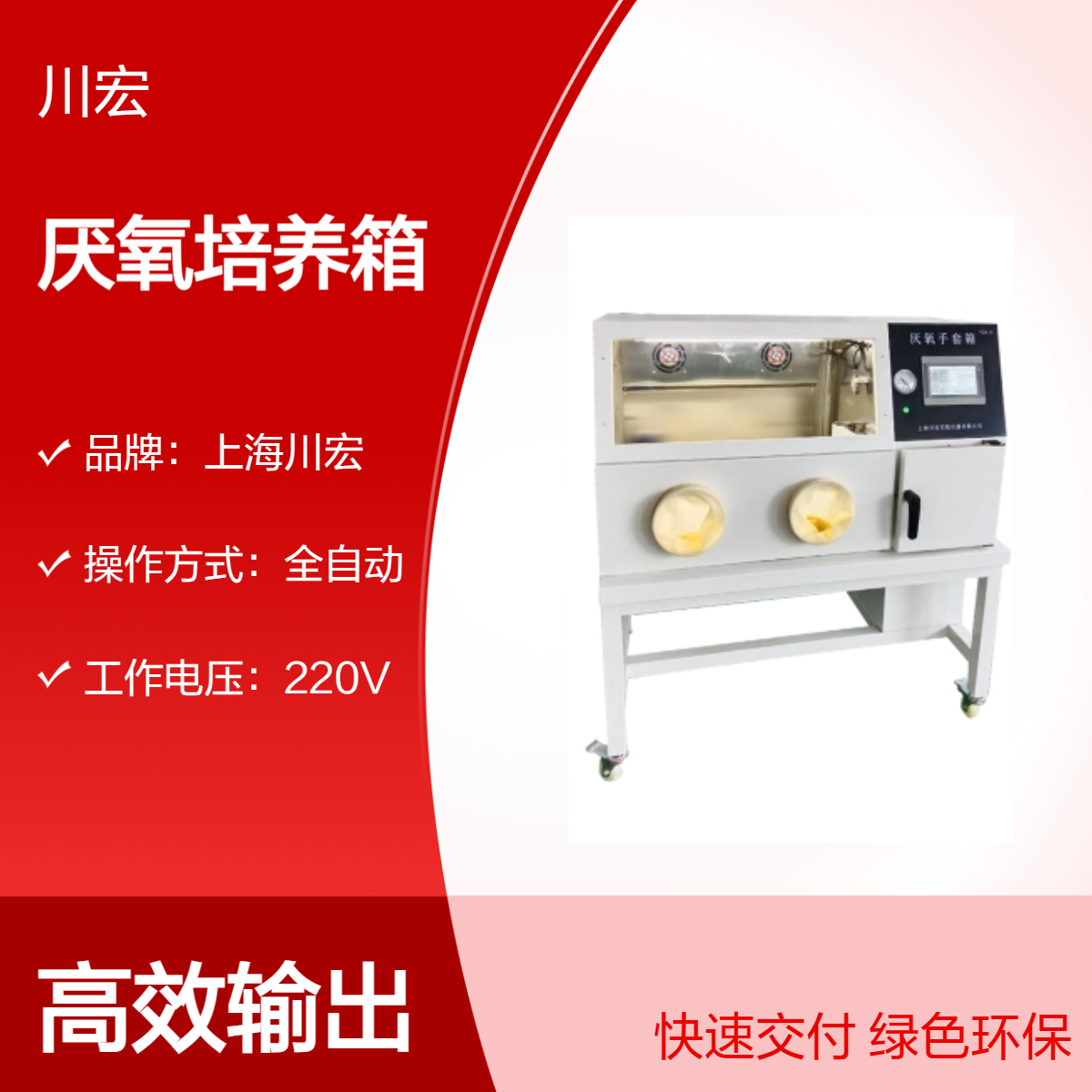 厌氧培养箱YQX-II（侧边开门）恒定温度培养紫外线消毒灯