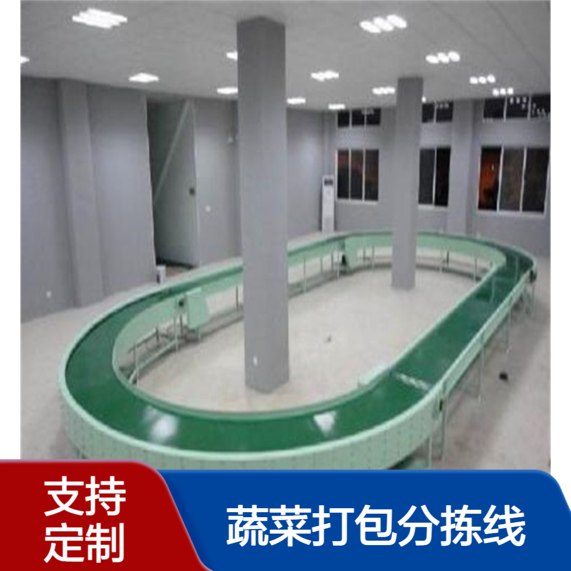 蔬菜打包分拣线 自动分拣归类 节省人力 输送量大 国创定制