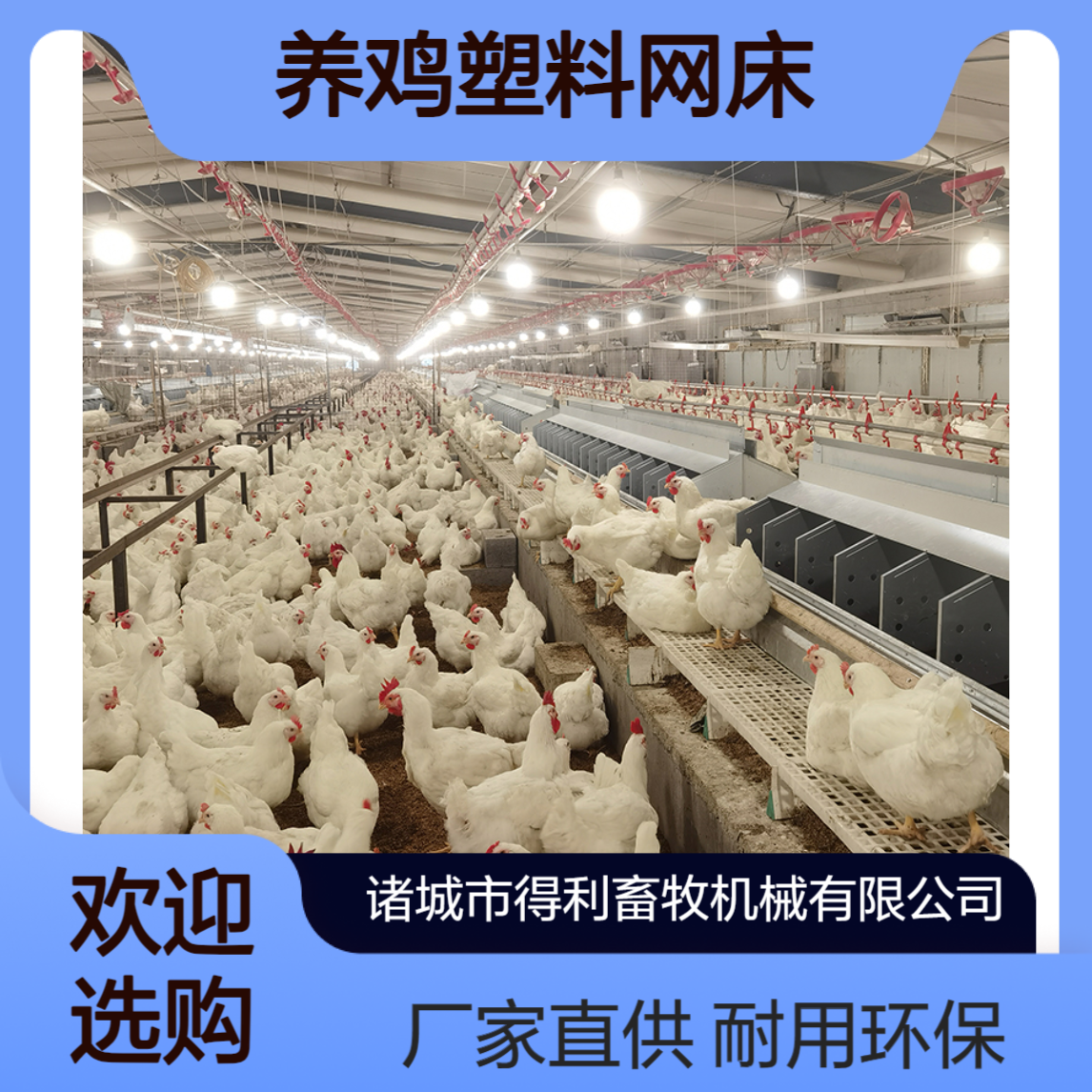 外贸出口用肉鸡漏粪板 养鸡塑料网床 种禽网板 厂家批发