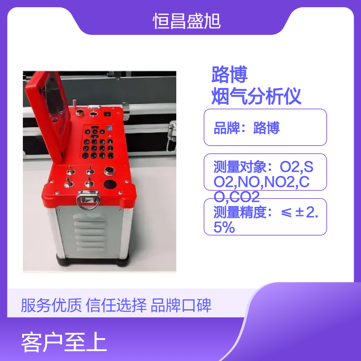 路博烟气分析仪 220V电源 8kg轻便设计 精准烟气成分检测