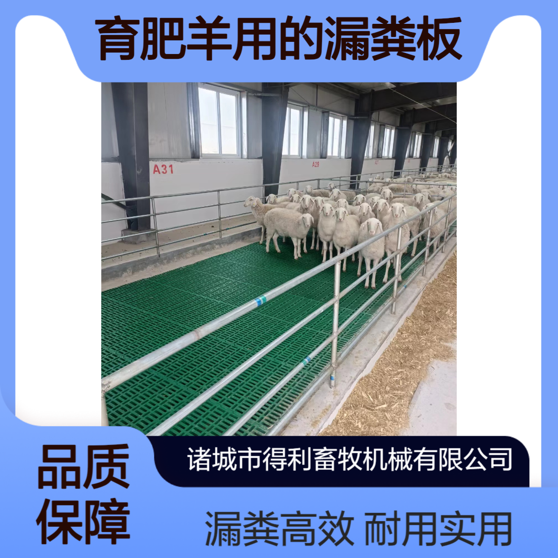 养羊用的塑料羊床 羊圈保育羊 育肥羊用的漏粪板
