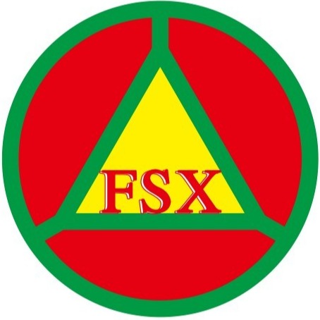 东莞市富时新塑化有限公司 - 公司logo