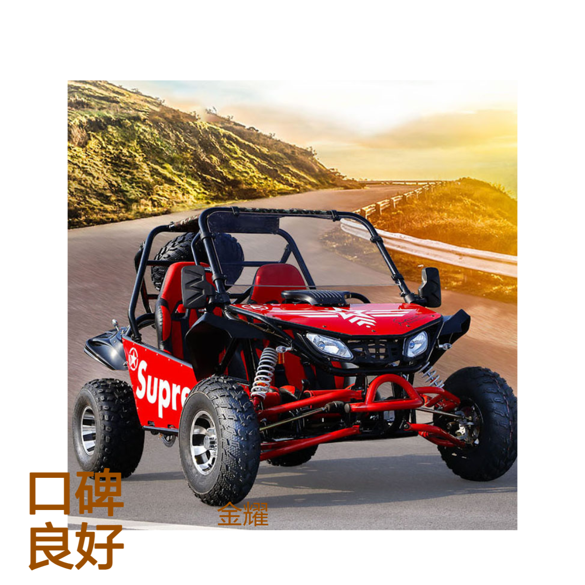 金耀鑫诺全地形卡丁车 15L油箱链条传动 越野炫酷外观