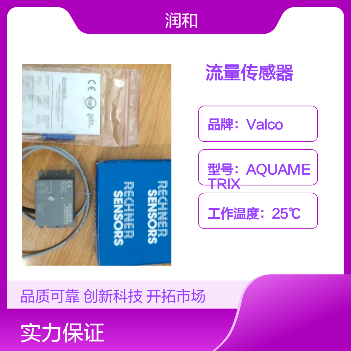 RECHNER系列220V输入电压25℃工作温度流量传感器精准测量