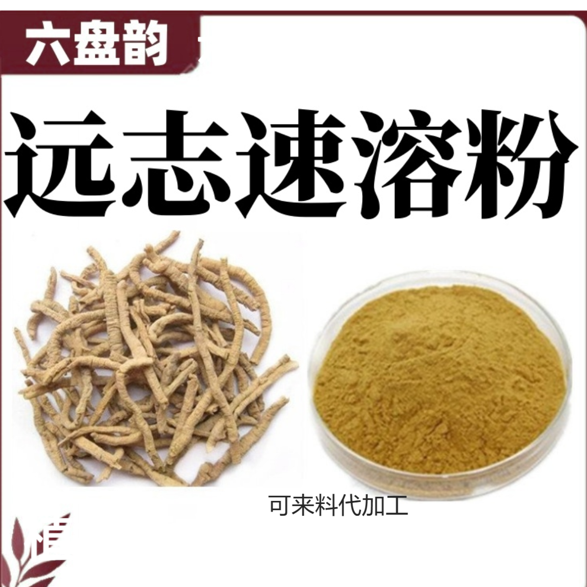 远志速溶粉 喷雾干燥工艺水溶性精细粉末 六盘韵生物 源头厂家