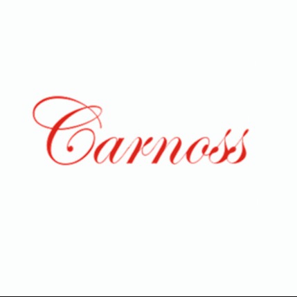 Wuhan Kanos Technology Co., Ltd - Company Logo