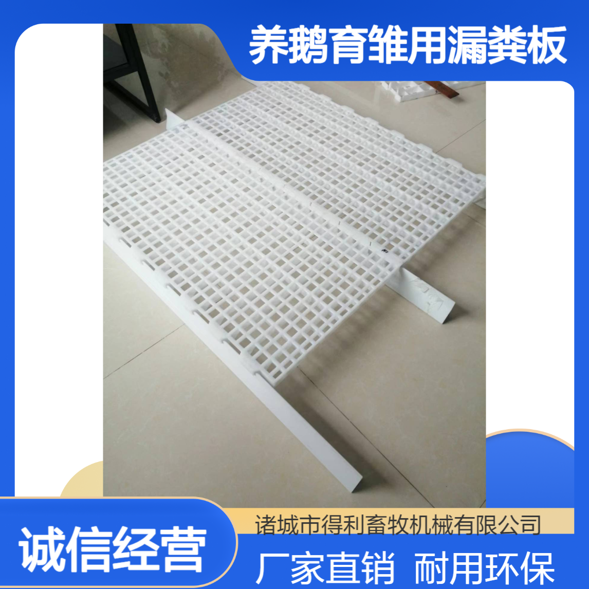 养鹅育雏用漏粪板 小鹅漏粪网床 养成年鹅专用 厂家批发