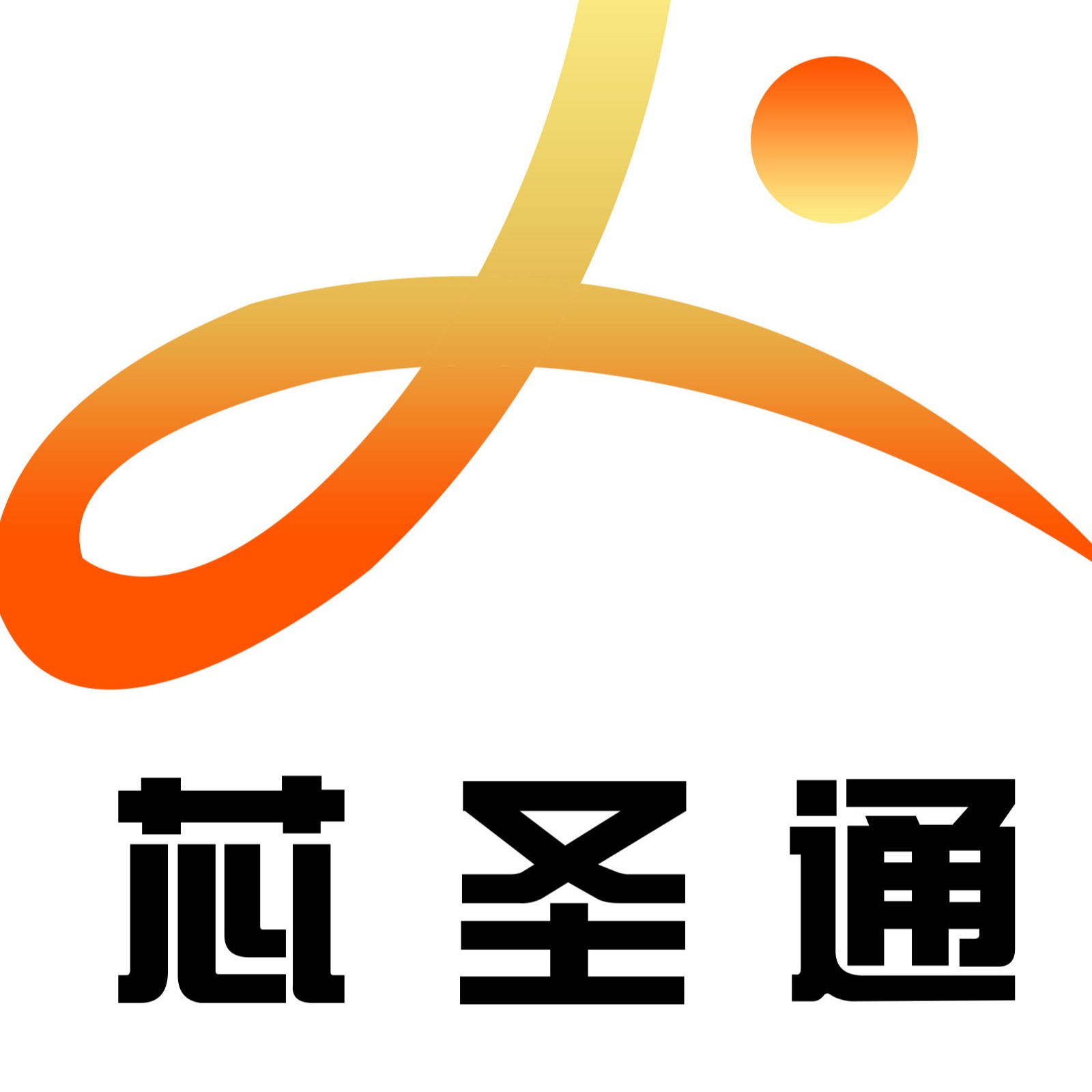 深圳市芯圣通电子有限公司 - 公司logo