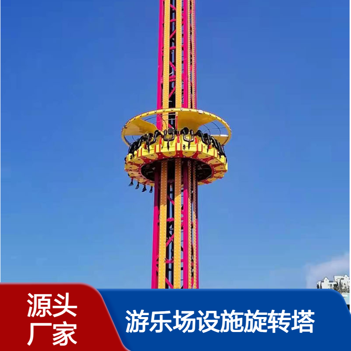 游乐场设施旋转塔 16座户外陆地游乐设施跳楼机 天鸿