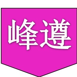 河南峰遵塑料制品有限公司 - 公司logo