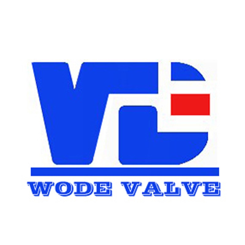 Beijing Detaico Valve Co., Ltd - Company Logo