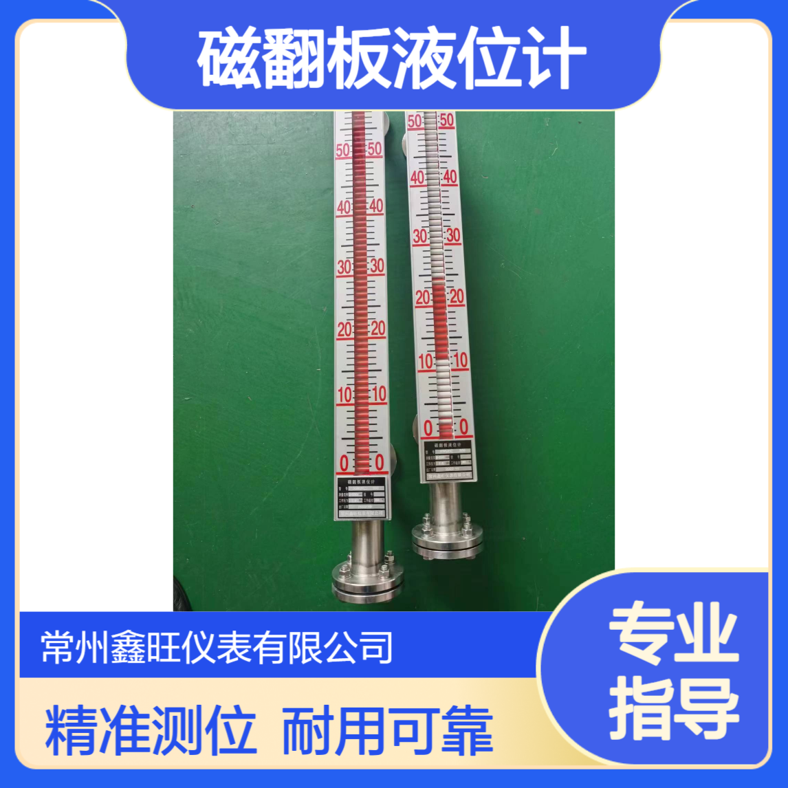 鑫旺仪表顶装式磁翻板液位计 1m测程304管材IP65防护24V供电