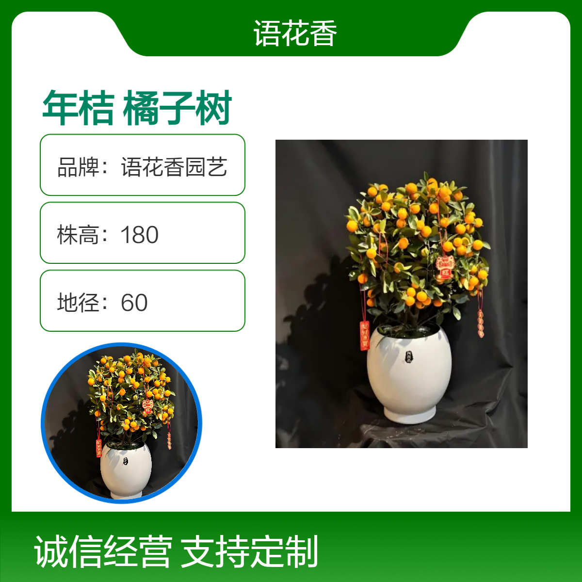 年桔盆栽带果室内客厅庭院可食用橘子树新年花卉开业送礼招财植物