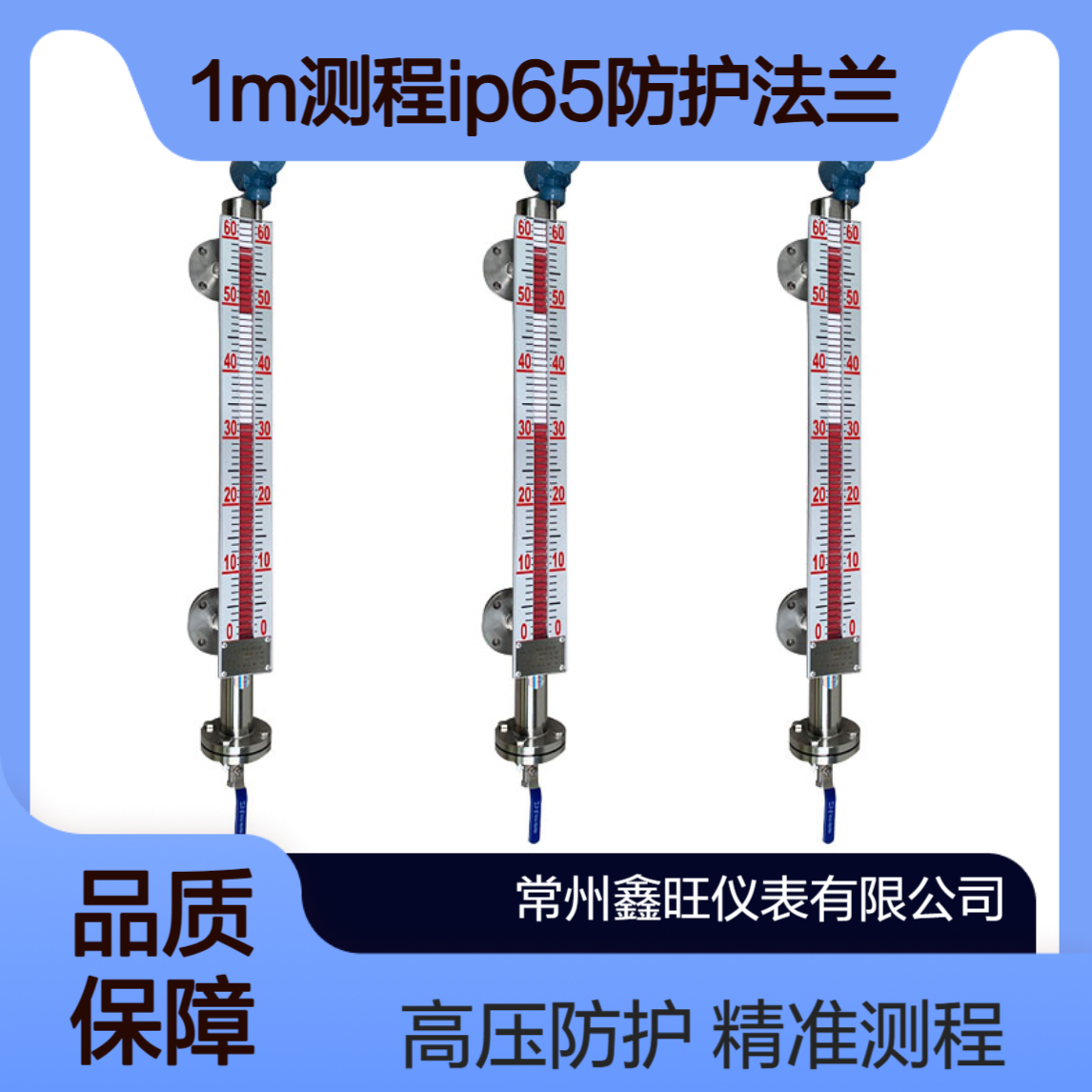 鑫旺UHC-10高温高压磁耦合液位计UHZ型 1m测程IP65防护法兰安装