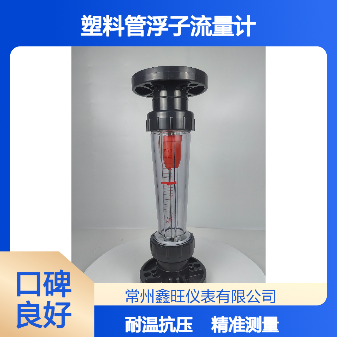 鑫旺LZB-100S塑料管浮子流量计 垂直安装60℃耐温0.6MPa反渗透膜用