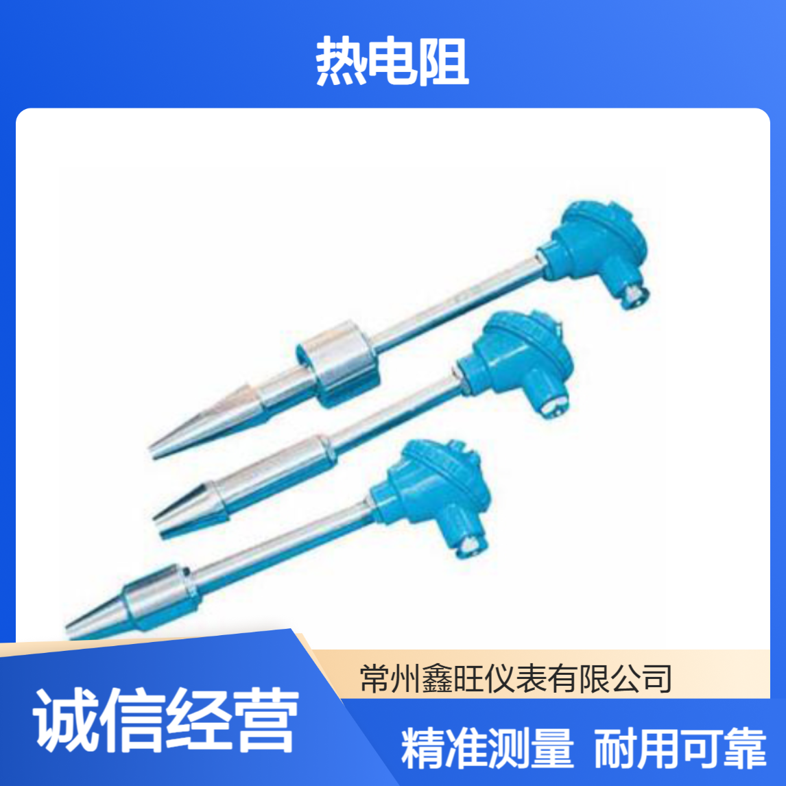 鑫旺铂热电阻 200尺寸不锈钢螺纹安装 0.1分辨率1.5精度 24输出信号