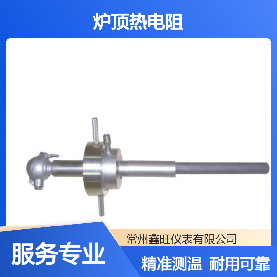 WRN-0313T炉顶热电阻 200尺寸24V输出 300℃测温不锈钢螺纹安装液体