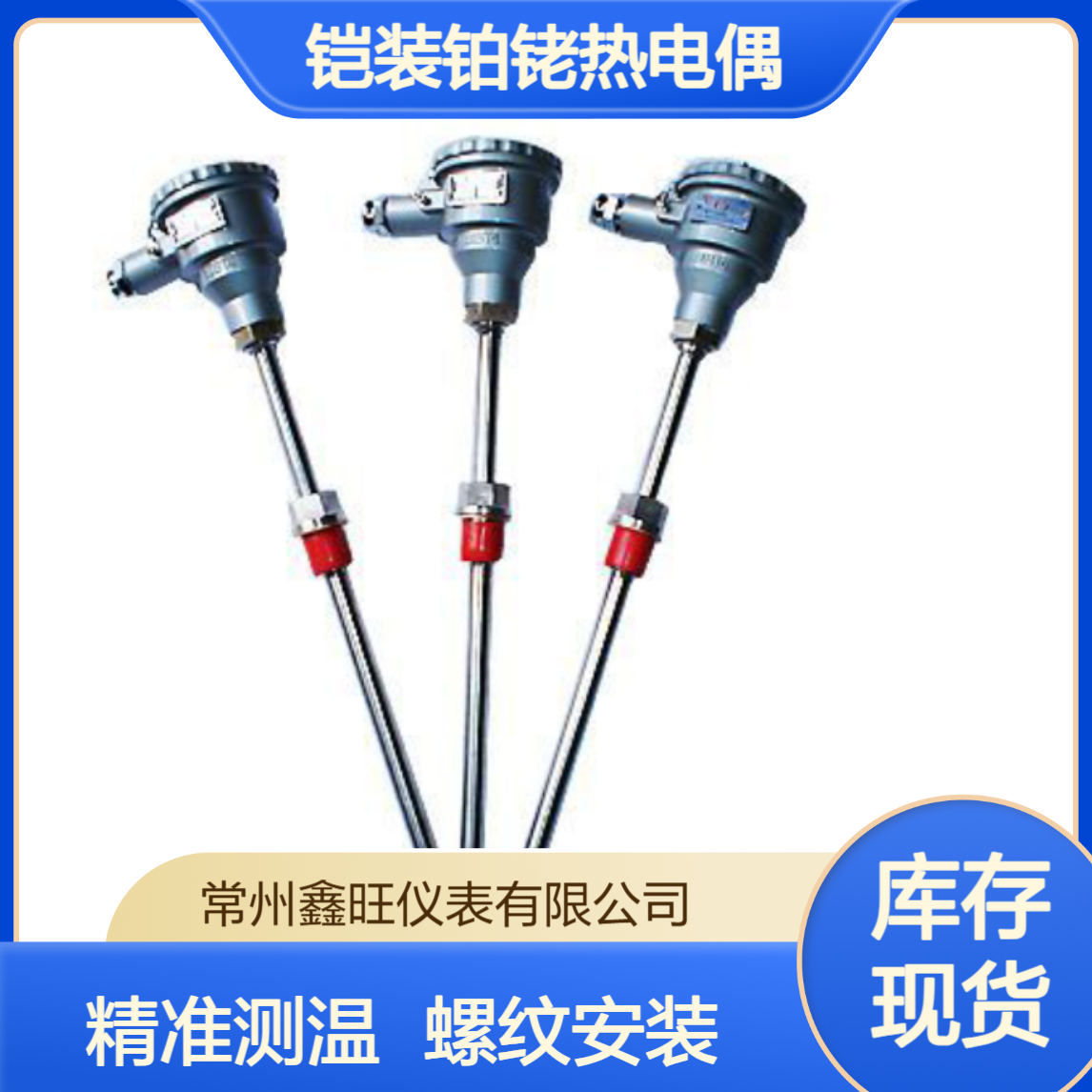 鑫旺WRRK-19S铠装铂铑热电偶 螺纹安装 24V电源 液体测温300℃
