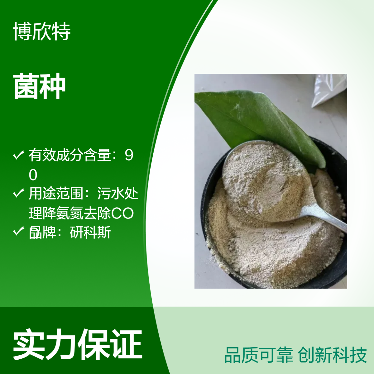 污水菌种 大量生产活性炭污泥降氨氮 去除COD