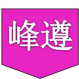 河南峰遵塑料制品有限公司 - 公司logo