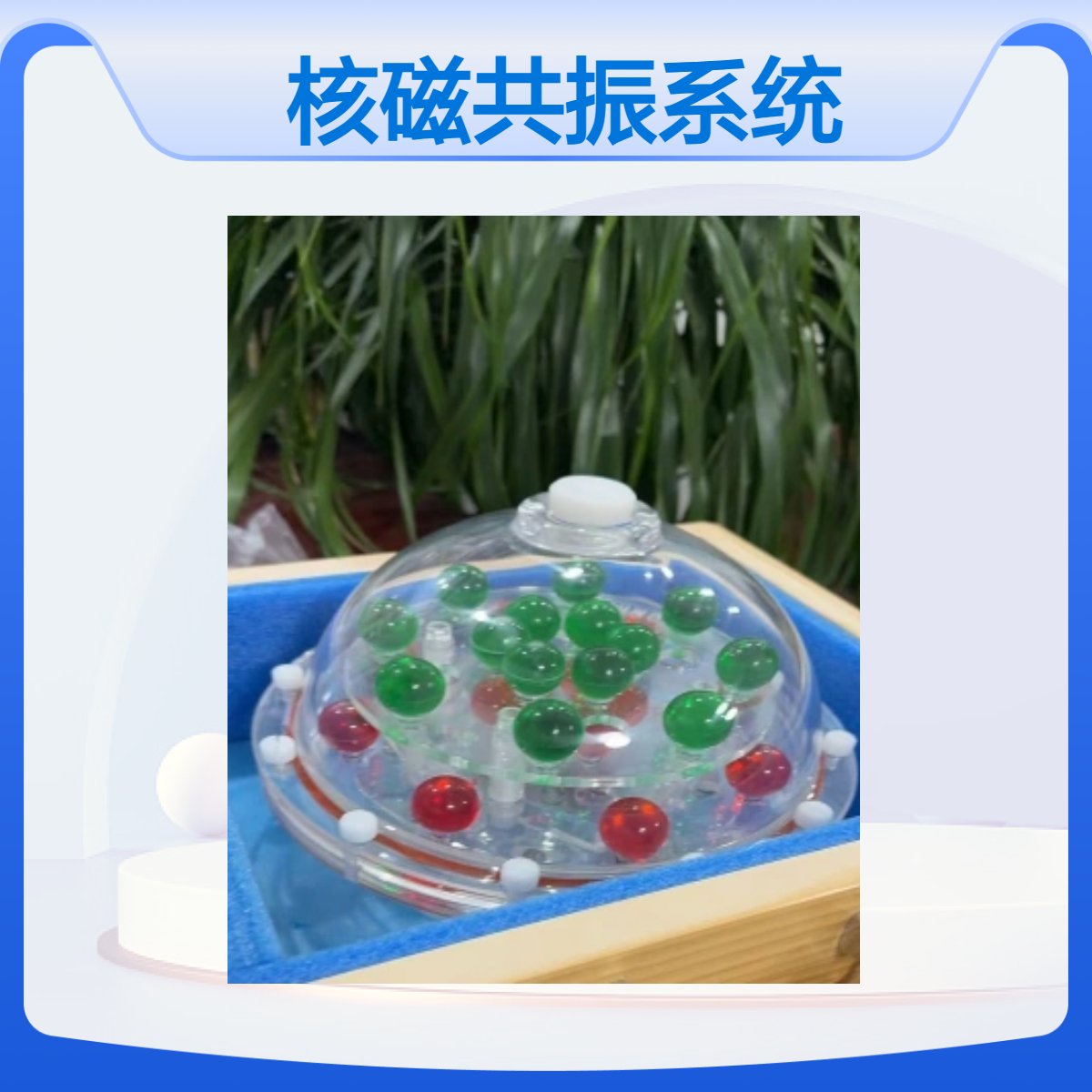 定做 qMRI定量核磁共振系统校准模体定量核磁加权模体