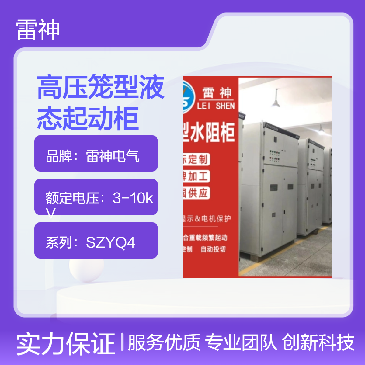 雷神电气SZYQ4高压笼型液态起动柜 高效节能启动平稳适用工业场景