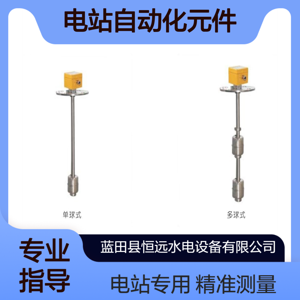 法兰式液位开关LSL11-750/45/3/3-600长度 电站自动化元件