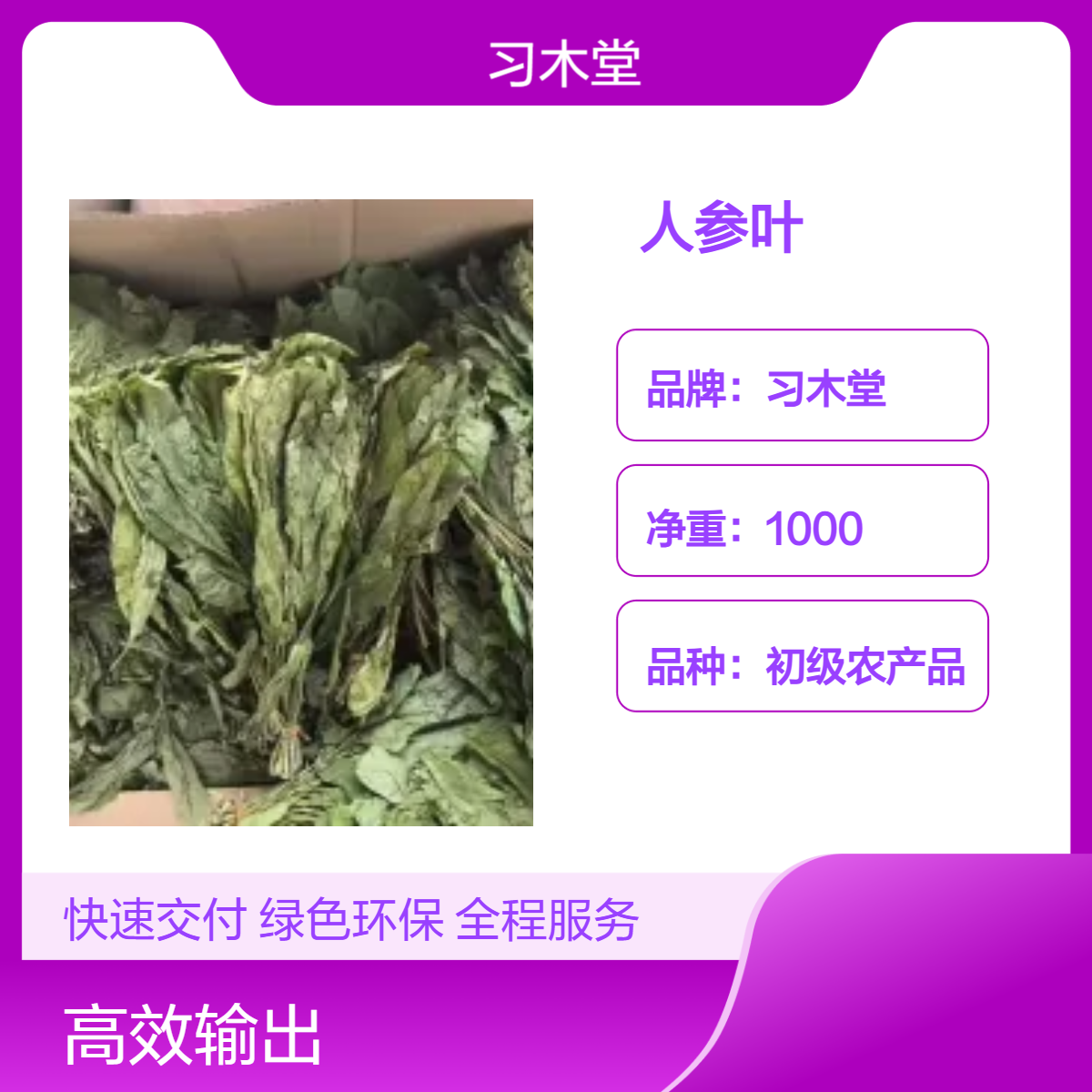 习木堂 批发 正宗 人参叶 人参片 无硫 新货 各种规格齐全 质量保证