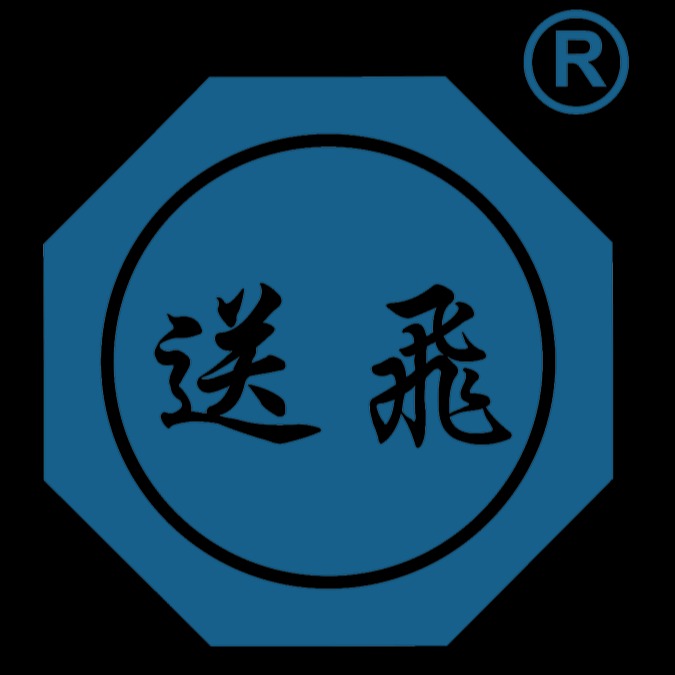 送飞实业集团有限公司 - 公司logo