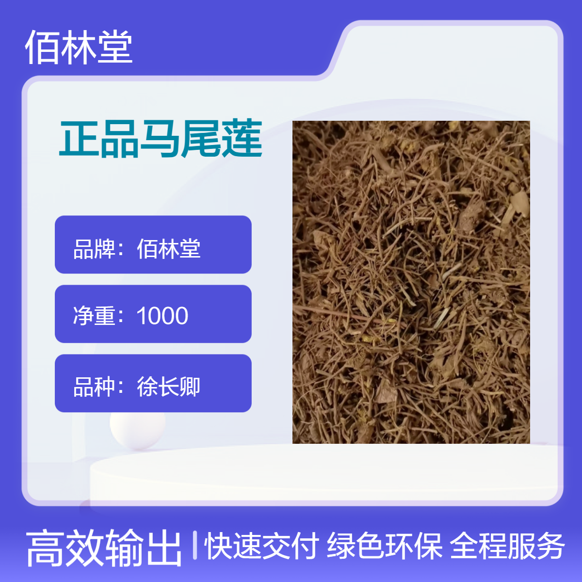 佰林堂一级正品马尾莲中药材 足克足量 阴凉干燥储存 初级农产品 地道