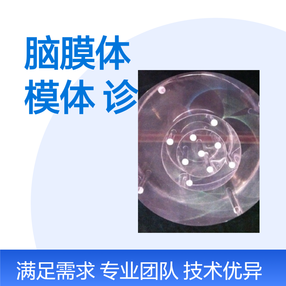 3D脑膜体放射计量模体诊断模体三维脑部模体脑模体订制