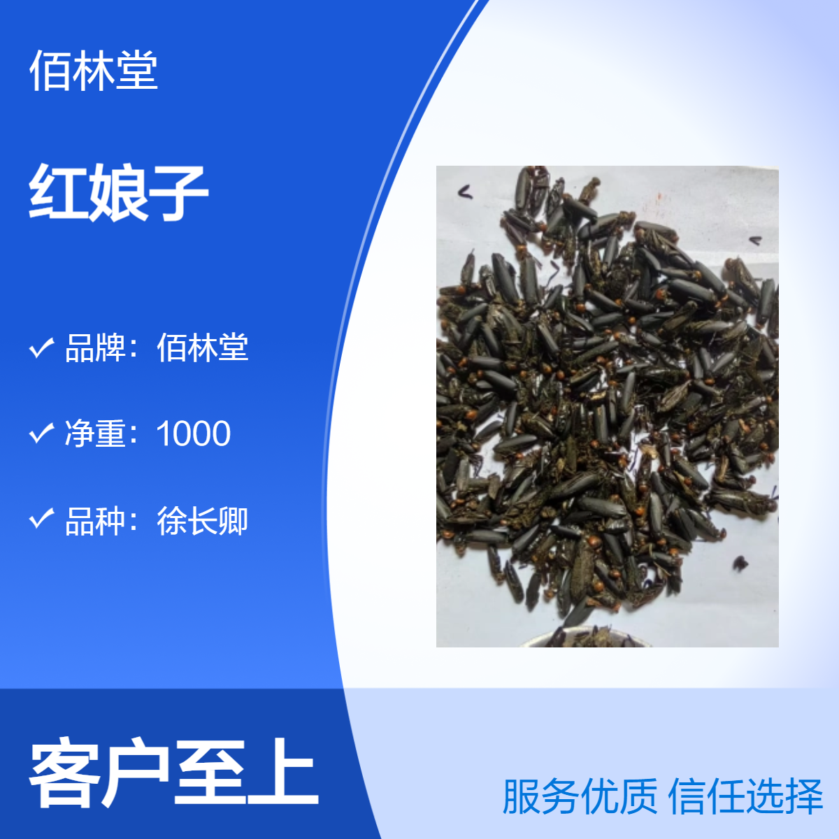 佰林堂正品红娘子中药材 一级初级农产品 阴凉干燥储存 产地供应 包邮